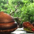 Cá kho làng Vũ Đại ngon hấp dẫn.