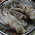 Đầu mực còn tươi nguyên