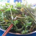 Mực ống ăn ghém lá mà ca