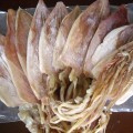 Đặc sản mực khô
