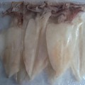 Mực một nắng Phan Thiết loại 1