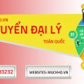 DASAVINA tiến hành tuyển Đại lý trên toàn quốc