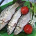 Nguyên liệu làm món cá chép kho nghệ đơn giản