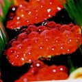 Trứng cá hồi