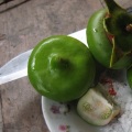 Trái bần xanh chấm muối ớt
