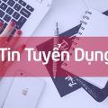 Tuyển dụng nhân sự văn phòng